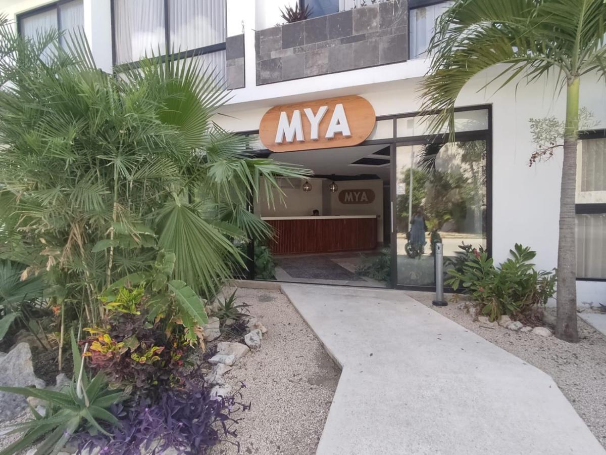 Nuevo Estudio Con Terraza Totalmente Equipado Tulum Aldea Zama Eksteriør billede